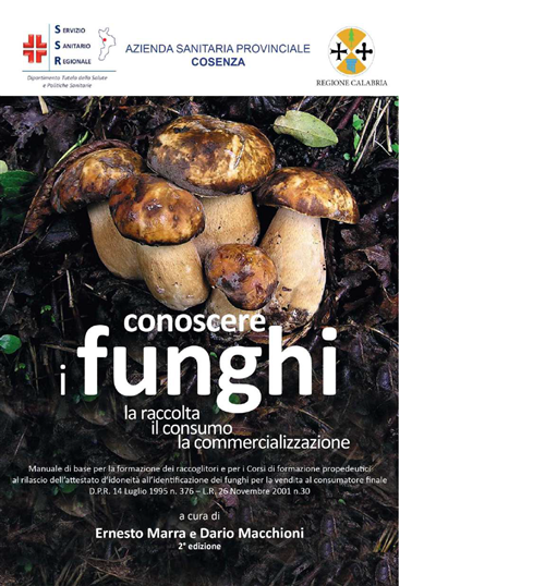 Intossicazioni da funghi come prevenirle e riconoscerle